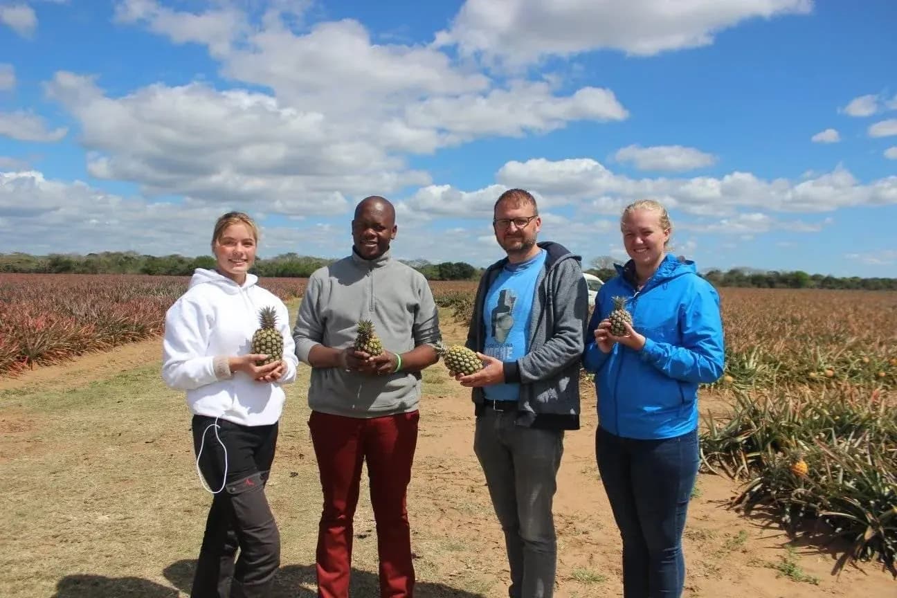 Guests with fresh pineapples on a Hluhluwe farm